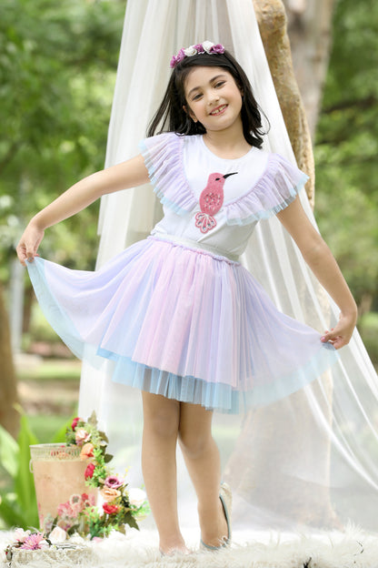 Enchanted Hummingbird Beaded Pastel Pink & Blue Tulle Skirt and Top Set (with Matching Doll Outfit)