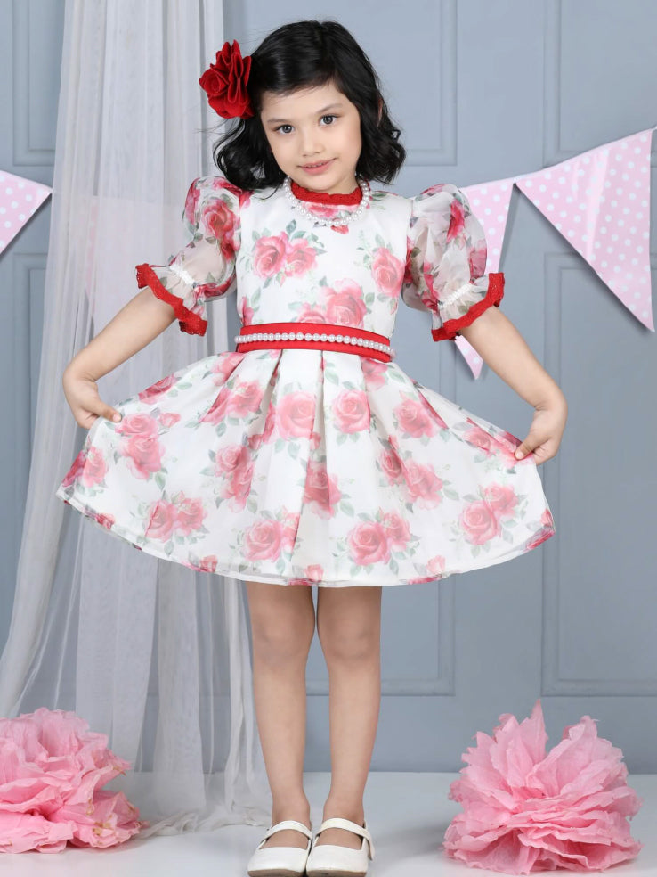 Vintage Organza Red Rose Dress with pearl belt