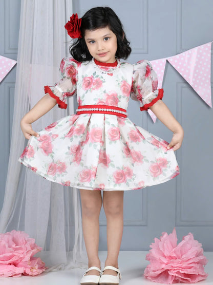 Vintage Organza Red Rose Dress with pearl belt