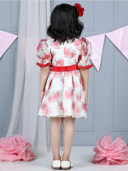 Vintage Organza Red Rose Dress with pearl belt