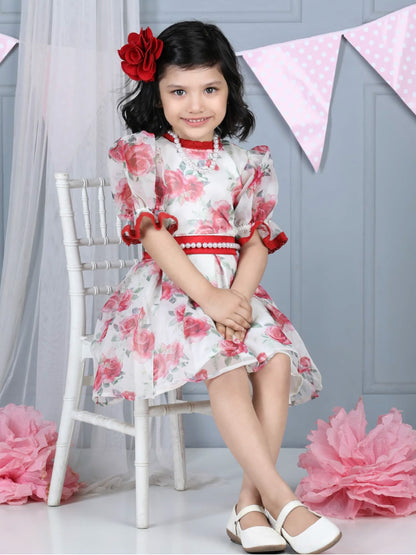 Vintage Organza Red Rose Dress with pearl belt